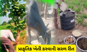 natural farming essay in gujarati