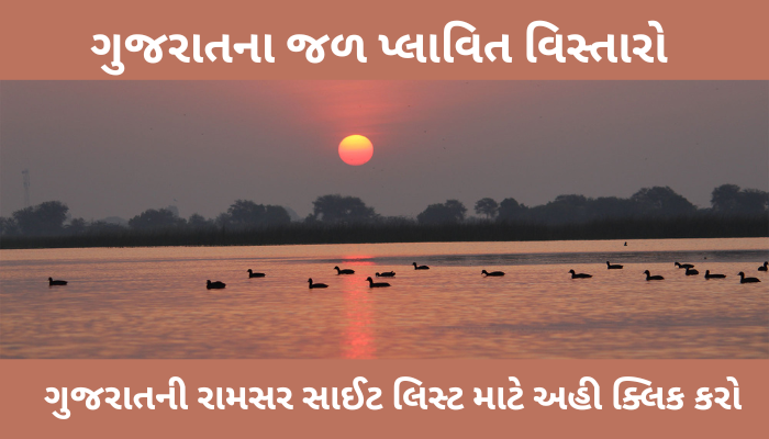 ગુજરાતના જળ પ્લાવિત વિસ્તારો