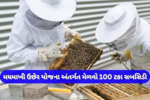Beekeeping Loan Scheme in Gujarat