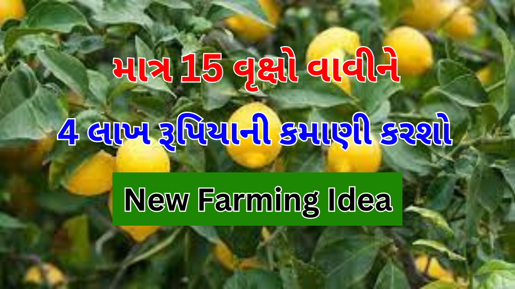 New Farming Idea
